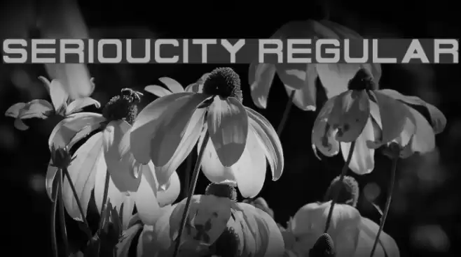 Serioucity Regular Font examples