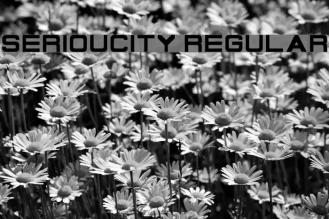 Serioucity Regular Font examples