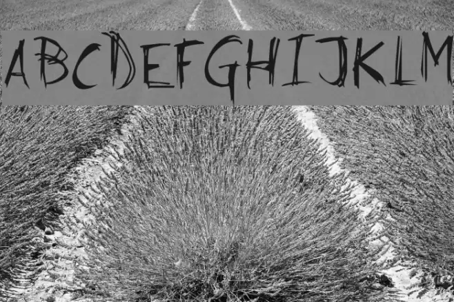 Serious Doubts Normal Font examples