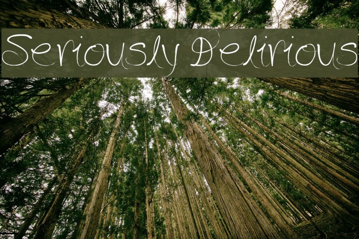 Seriously Delirious Font examples