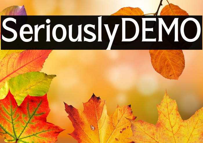 SeriouslyDEMO Example 1