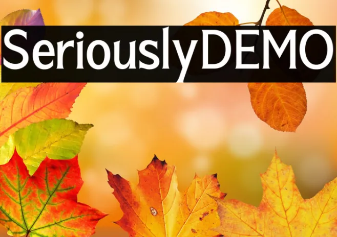 SeriouslyDEMO Example 1