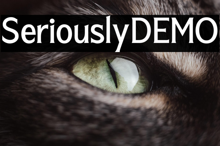 SeriouslyDEMO Example 2