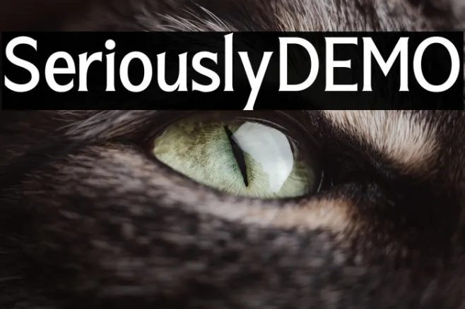 SeriouslyDEMO Example 2