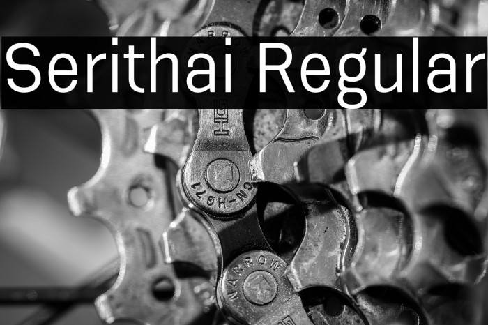 Serithai Regular Example 3