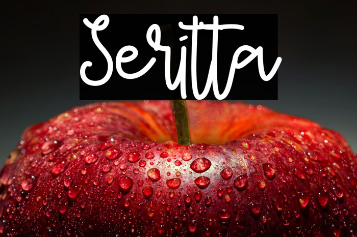 Seritta Example 1