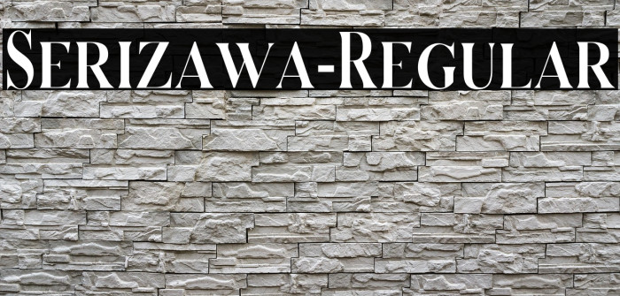 Serizawa-Regular Example 1