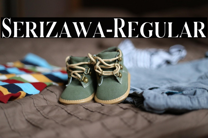 Serizawa-Regular Example 2