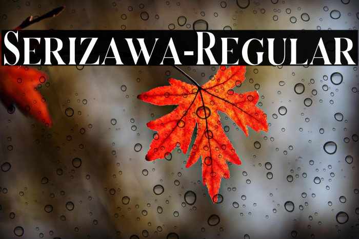 Serizawa-Regular Example 3