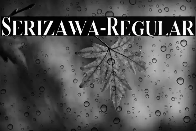 Serizawa-Regular Font examples