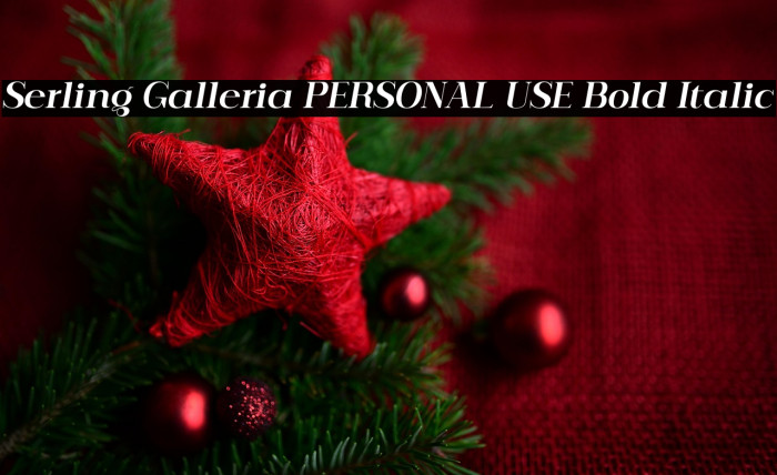 Serling Galleria PERSONAL USE Bold Italic Example 1