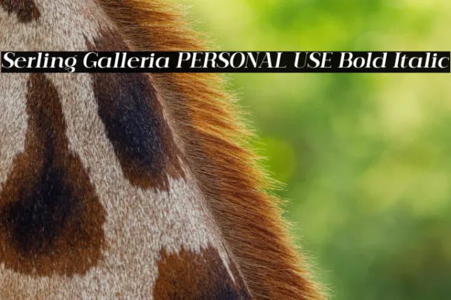 Serling Galleria PERSONAL USE Bold Italic Example 2