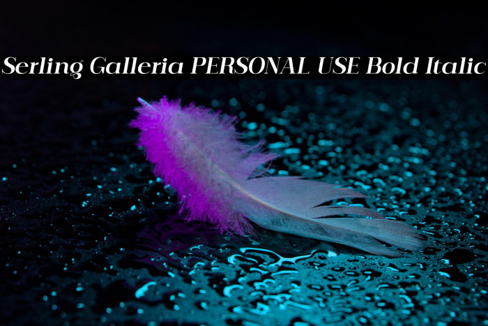 Serling Galleria PERSONAL USE Bold Italic Example 3