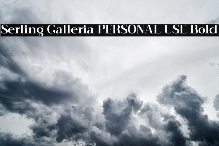 Serling Galleria PERSONAL USE Bold Example 3