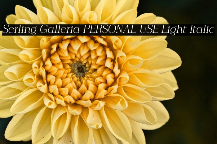 Serling Galleria PERSONAL USE Light Italic Example 3