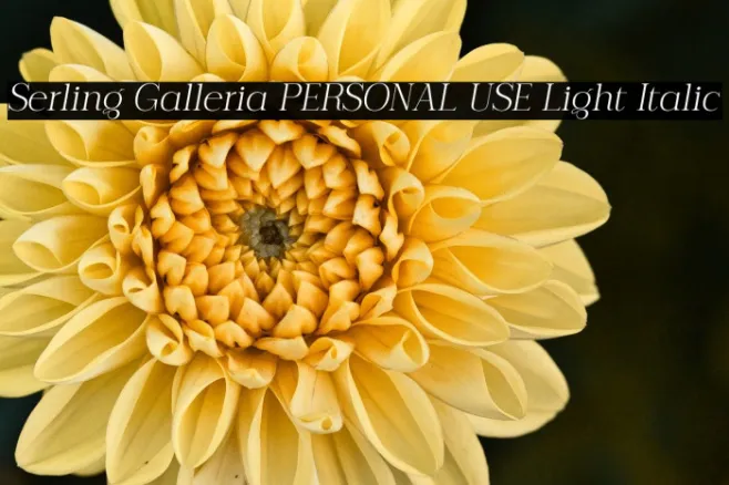 Serling Galleria PERSONAL USE Light Italic Example 3