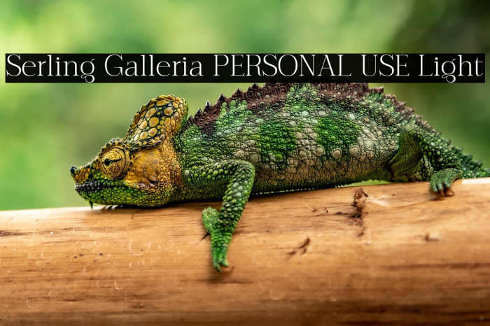 Serling Galleria PERSONAL USE Light Example 3