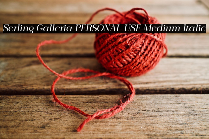Serling Galleria PERSONAL USE Medium Italic Example 1