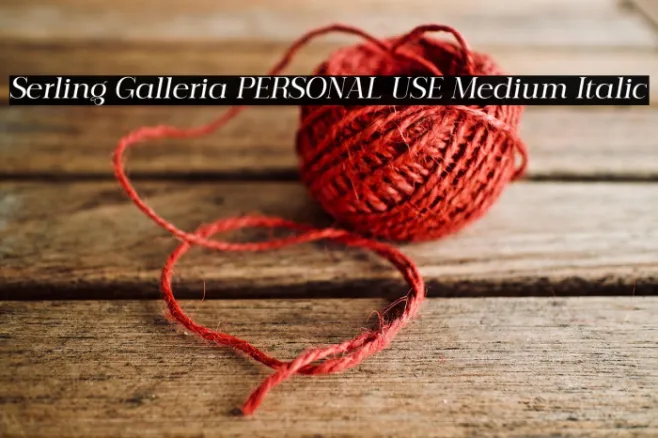 Serling Galleria PERSONAL USE Medium Italic Example 1