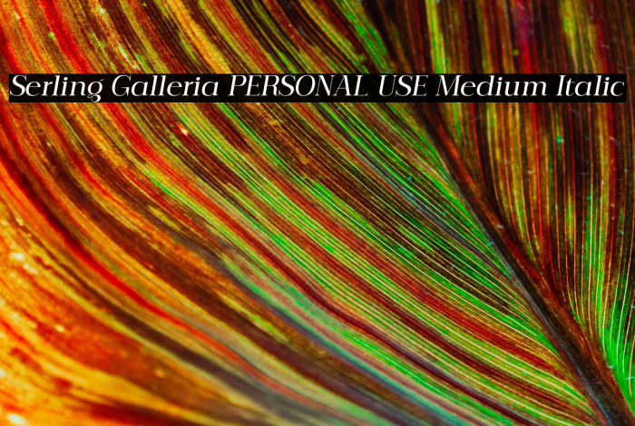 Serling Galleria PERSONAL USE Medium Italic Example 3