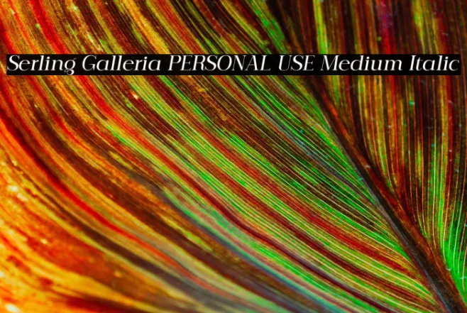 Serling Galleria PERSONAL USE Medium Italic Example 3