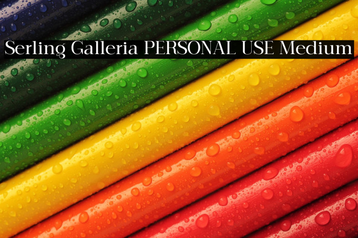 Serling Galleria PERSONAL USE Medium Example 1