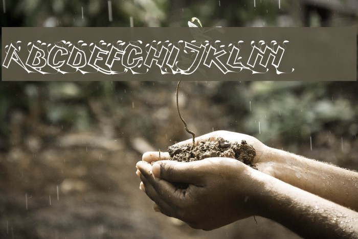 Serling Script Regular Font examples