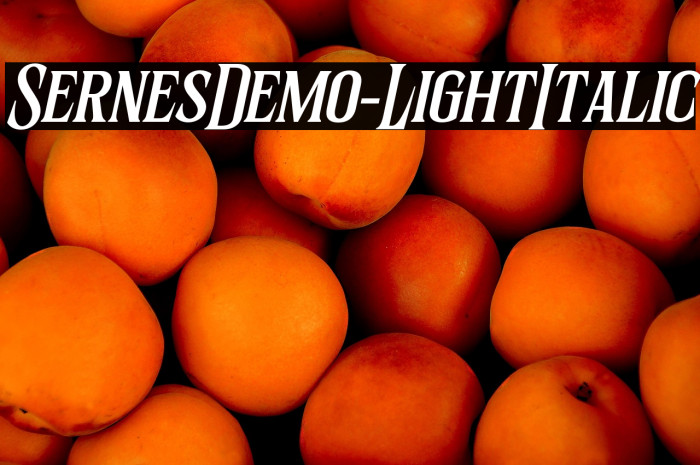 SernesDemo-LightItalic Example 1