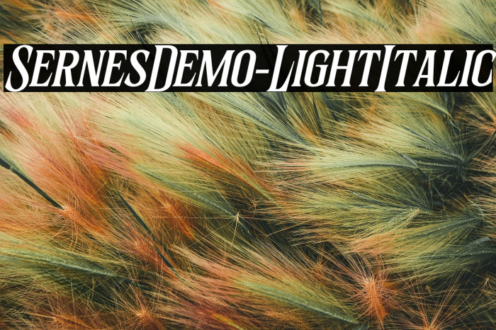 SernesDemo-LightItalic Example 2