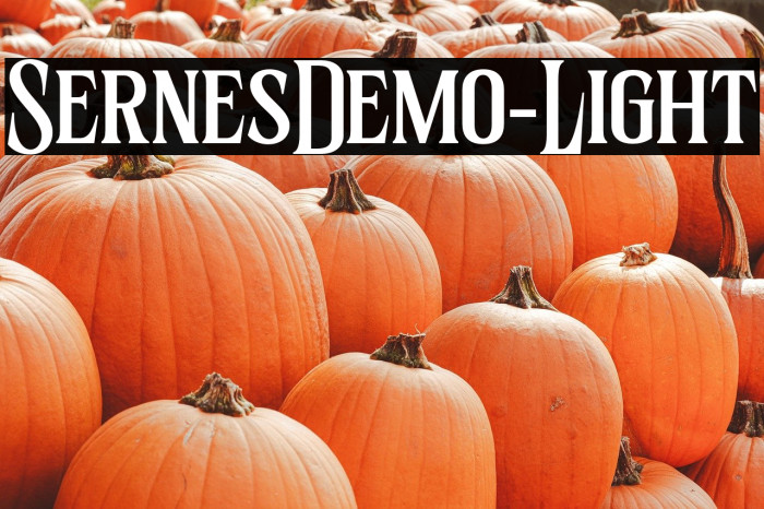 SernesDemo-Light Example 2