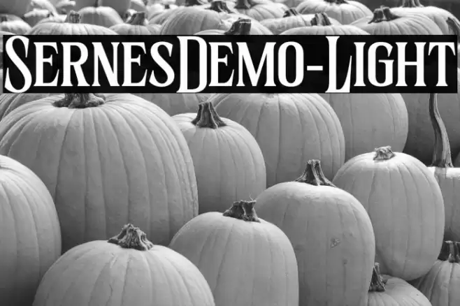 SernesDemo-Light Font examples
