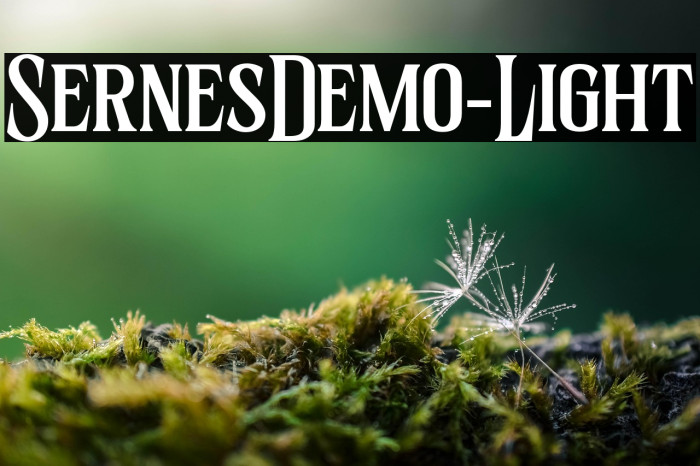 SernesDemo-Light Example 3