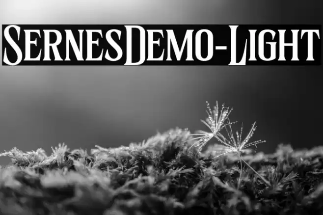 SernesDemo-Light Font examples