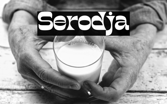 Serodja Example 1