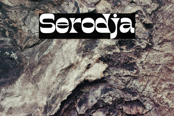 Serodja Example 2