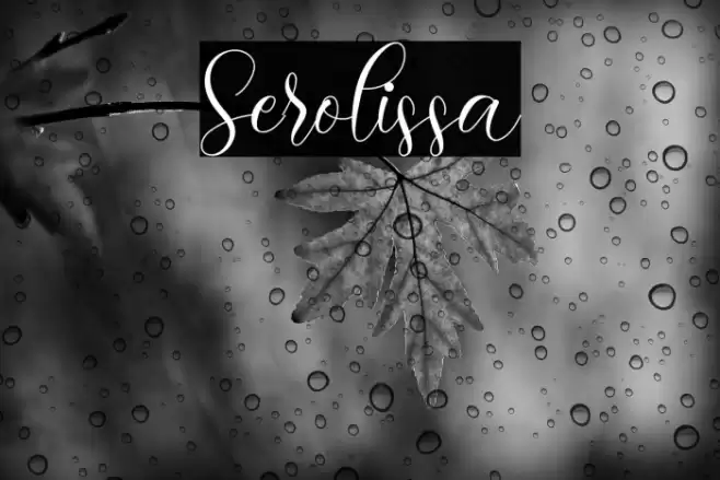 Serolissa Font examples