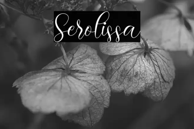 Serolissa Font examples