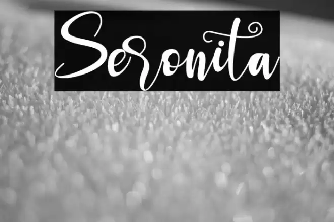 Seronita Font examples