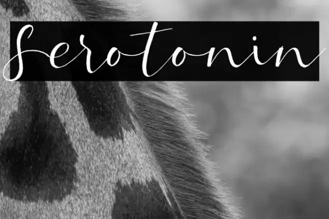 Serotonin Font examples