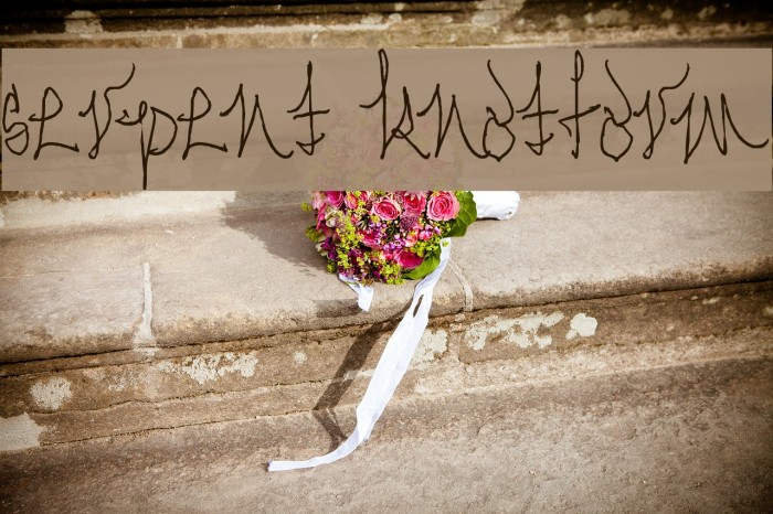 Serpent Knotform Example 1