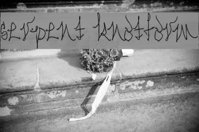 Serpent Knotform Font examples