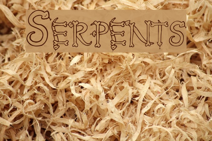 Serpents Font examples