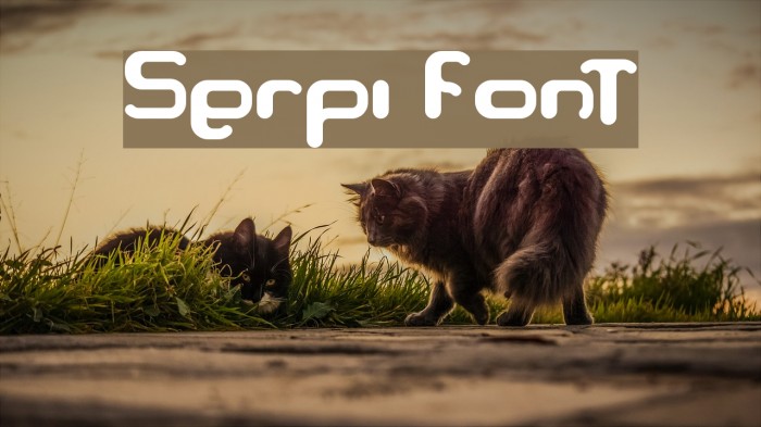 Serpi Font examples