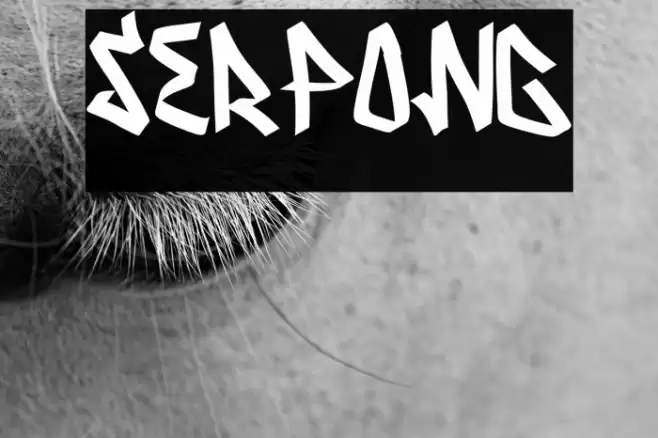 Serpong Font examples