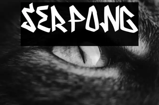 Serpong Font examples