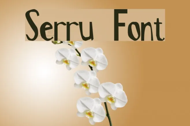 Serru Example 3