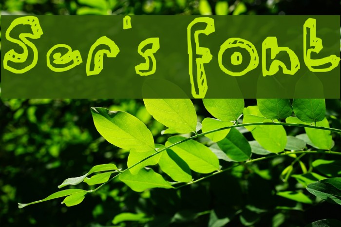 Ser's font Example 3