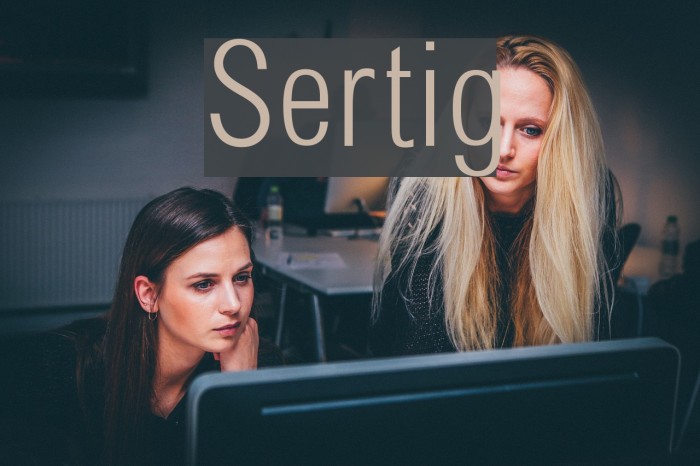 Sertig Font examples