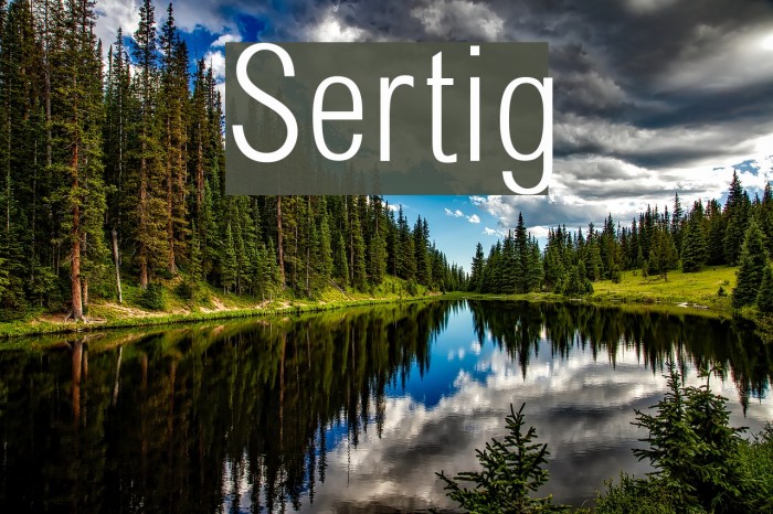 Sertig Font examples