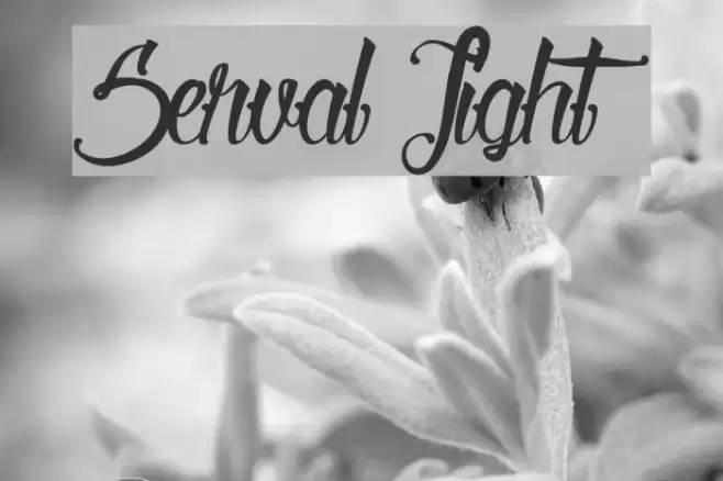 Serval Light Font examples